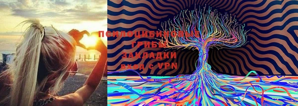 прущая мука Надым