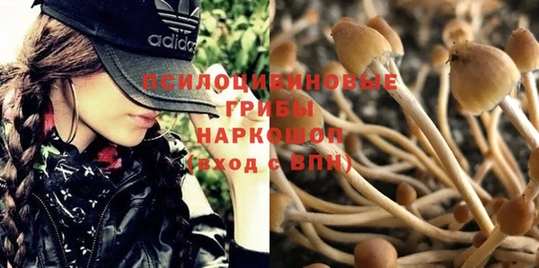 прущая мука Надым