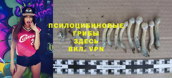 МДПВ Наволоки