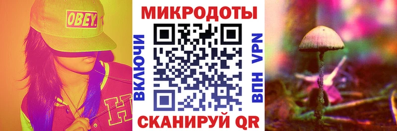 хочу наркоту  Великий Новгород  Псилоцибиновые грибы Psilocybe 