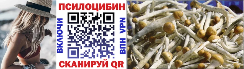 Галлюциногенные грибы GOLDEN TEACHER Великий Новгород